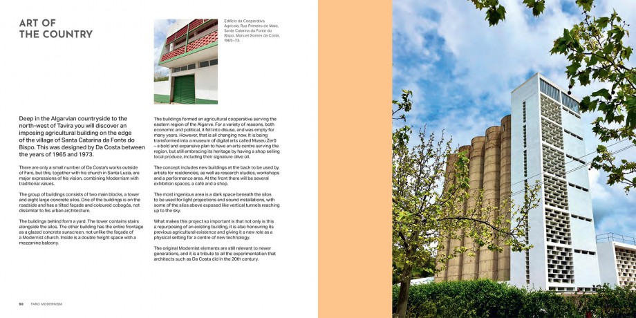 Faro Modernism: Buildings, heritage and culture through the lens of an artist - Walker Richard [KSIĄŻKA]