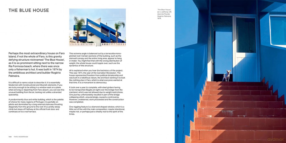 Faro Modernism: Buildings, heritage and culture through the lens of an artist - Walker Richard [KSIĄŻKA]