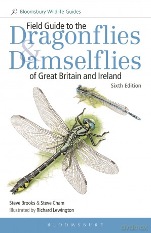 Field Guide to the Dragonflies and Damselflies of Great Britain and Ireland: Sixth edition (Bloomsbury Wildlife Guides) - Steve Brooks [KSIĄŻKA]