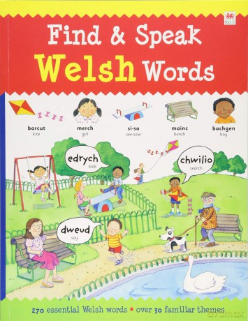 Find and Speak Welsh - Unknown [KSIĄŻKA]