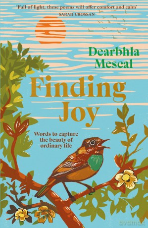 Finding Joy: Words to capture the beauty of ordinary life | THE NUMBER ONE BESTSELLER - Dearbhla Mescal [KSIĄŻKA]