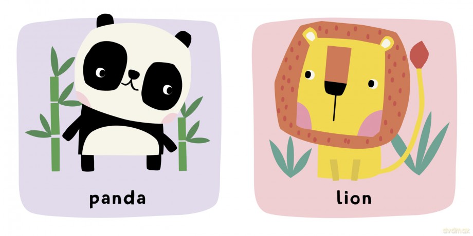 First Words Champion! Animals - Yoyo Books [KSIĄŻKA]