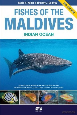 Fishes of the Maldives: Indian Ocean - Rudie H Kuiter [KSIĄŻKA]