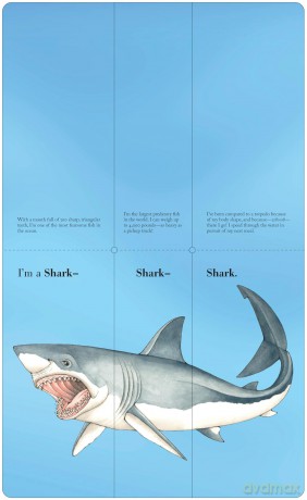 Flip-a-Fin: Make Your Own Wacky Sea Creature! (Mix-and-Match Board Books) - Sara Ball [KSIĄŻKA]