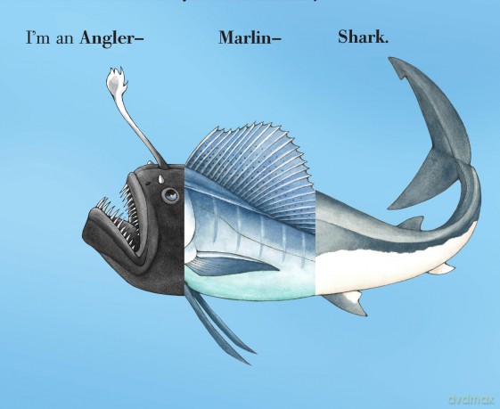 Flip-a-Fin: Make Your Own Wacky Sea Creature! (Mix-and-Match Board Books) - Sara Ball [KSIĄŻKA]