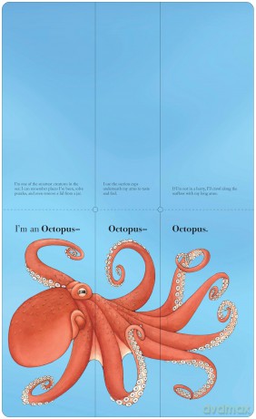 Flip-a-Fin: Make Your Own Wacky Sea Creature! (Mix-and-Match Board Books) - Sara Ball [KSIĄŻKA]