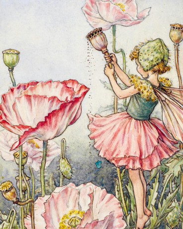 Flower Fairies to Cut Out and Collage: Over 500 Timeless Illustrations to Inspire Creativity - David & Charles [KSIĄŻKA]