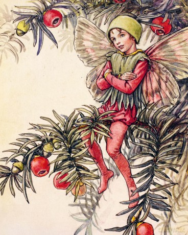 Flower Fairies to Cut Out and Collage: Over 500 Timeless Illustrations to Inspire Creativity - David & Charles [KSIĄŻKA]