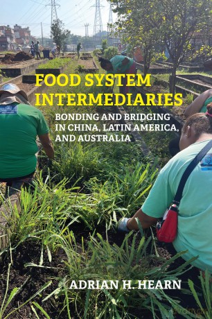 Food System Intermediaries: Bonding and Bridging in China, Latin America, and Australia (Food, Health, and the Environment) - Adrian Hearn [KSIĄŻKA]