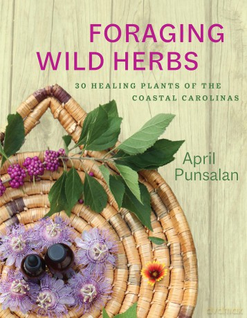 Foraging Wild Herbs: 30 Healing Plants of the Coastal Carolinas [KSIĄŻKA]