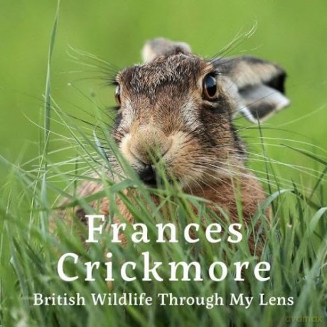 Frances Crickmore - British Wildlife Through My Lens - Francis Crickmore [KSIĄŻKA]