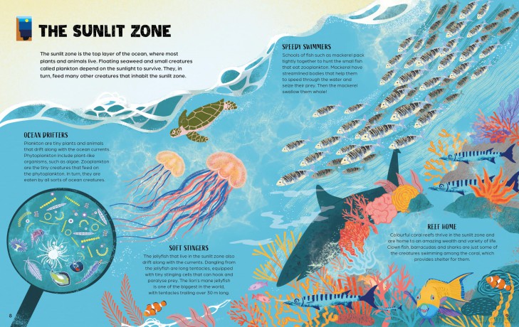 From Deep Sea to Shallows: The Story of Oceans (Nature's Journeys) - Ben Hubbard [KSIĄŻKA]