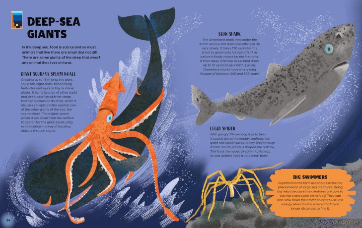 From Deep Sea to Shallows: The Story of Oceans (Nature's Journeys) - Ben Hubbard [KSIĄŻKA]