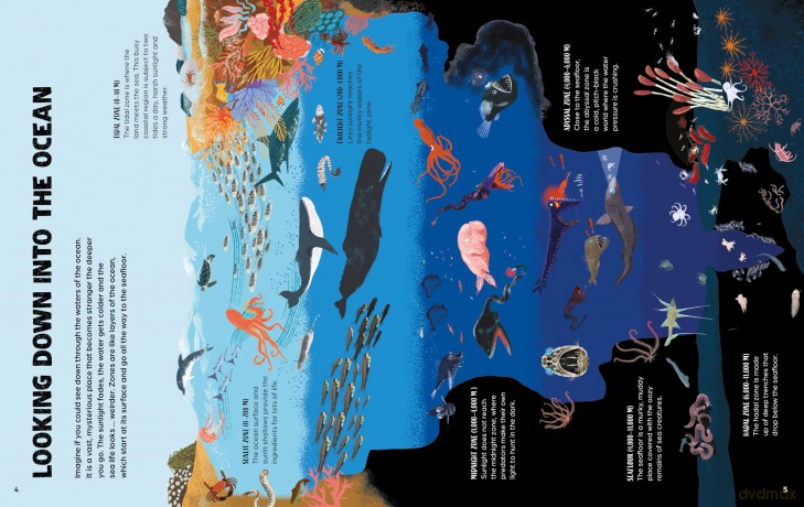 From Deep Sea to Shallows: The Story of Oceans (Nature's Journeys) - Ben Hubbard [KSIĄŻKA]