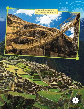 From Grass to Bridge (Smithsonian: Informational Text) - Ben Nussbaum [KSIĄŻKA]