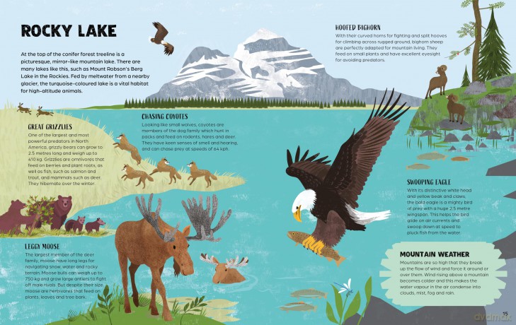From Valley to Peak: The Story of Mountains (Nature's Journeys) - Ben Hubbard [KSIĄŻKA]