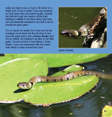 Garden Photo Shoot: A Photographer's Yearbook of Garden Wildlife - John Thurlbourn [KSIĄŻKA]
