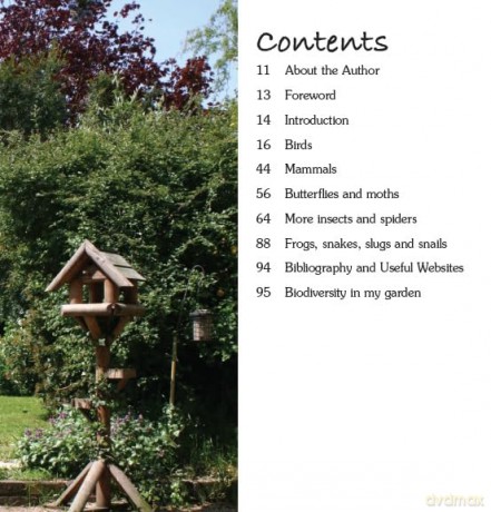 Garden Photo Shoot: A Photographer's Yearbook of Garden Wildlife - John Thurlbourn [KSIĄŻKA]