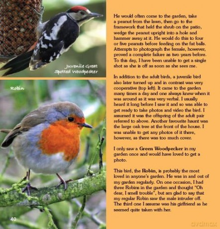 Garden Photo Shoot: A Photographer's Yearbook of Garden Wildlife - John Thurlbourn [KSIĄŻKA]