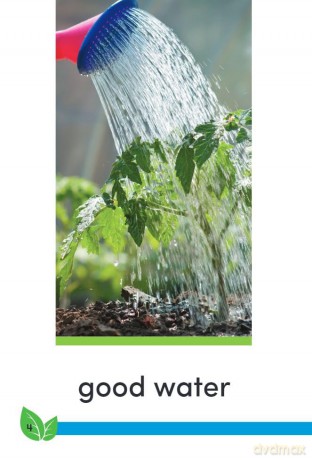 Good Work: Plant Life (Time for Kids(r) Informational Text) - Dona Herweck Rice [KSIĄŻKA]