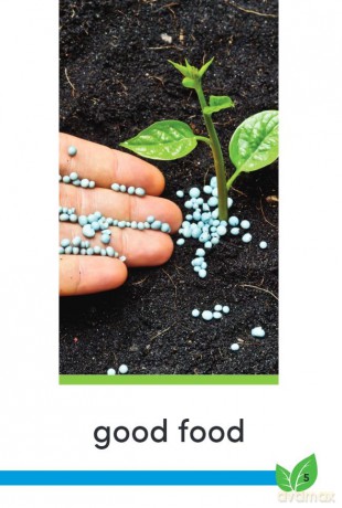 Good Work: Plant Life (Time for Kids(r) Informational Text) - Dona Herweck Rice [KSIĄŻKA]