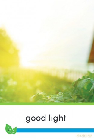 Good Work: Plant Life (Time for Kids(r) Informational Text) - Dona Herweck Rice [KSIĄŻKA]