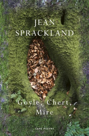 Goyle, Chert, Mire - Jean Sprackland [KSIĄŻKA]