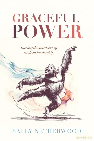 Graceful Power: Solving the paradox of modern leadership - Sally Netherwood [KSIĄŻKA]