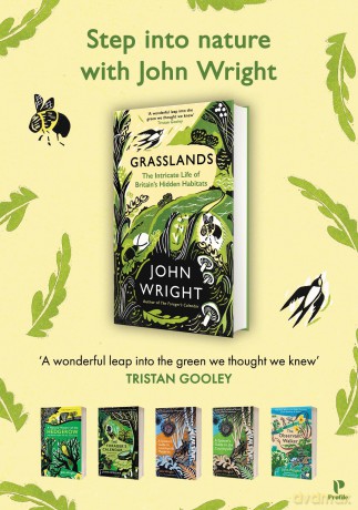 Grasslands: The Intricate Life of Britain's Hidden Habitats - John Wright [KSIĄŻKA]