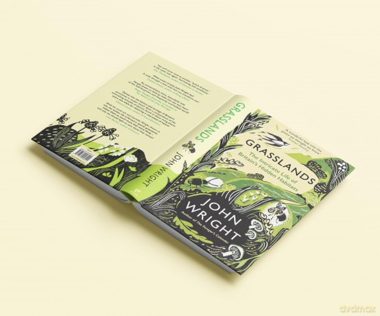 Grasslands: The Intricate Life of Britain's Hidden Habitats - John Wright [KSIĄŻKA]