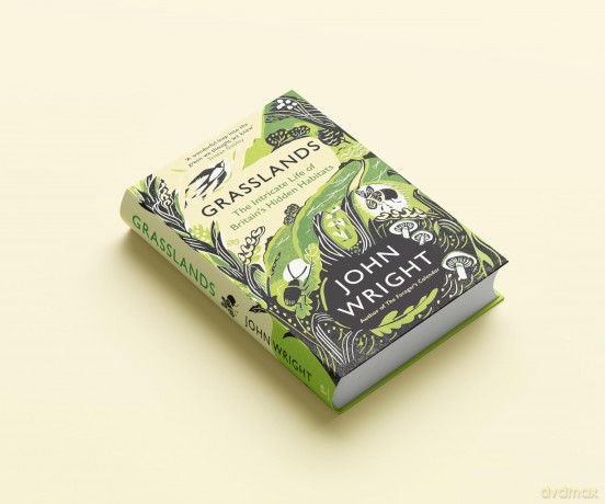 Grasslands: The Intricate Life of Britain's Hidden Habitats - John Wright [KSIĄŻKA]