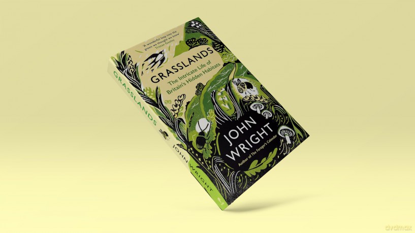 Grasslands: The Intricate Life of Britain's Hidden Habitats - John Wright [KSIĄŻKA]