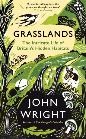 Grasslands: The Intricate Life of Britain's Hidden Habitats - John Wright [KSIĄŻKA]