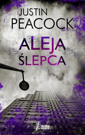 Aleja ślepca [KSIĄŻKA]