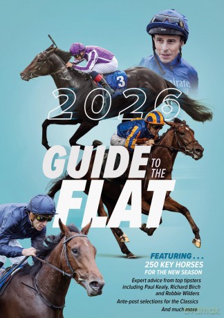 Guide to the Flat 2026 - Dew David [KSIĄŻKA]