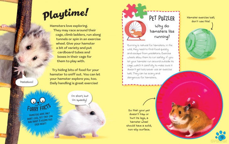 Hamsters (Cute Pets! And How to Care For Them) - Judith Heneghan [KSIĄŻKA]