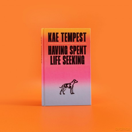 Having Spent Life Seeking: The Sunday Times bestselling story of love, second chances and being seen - Kae Tempest [KSIĄŻKA]