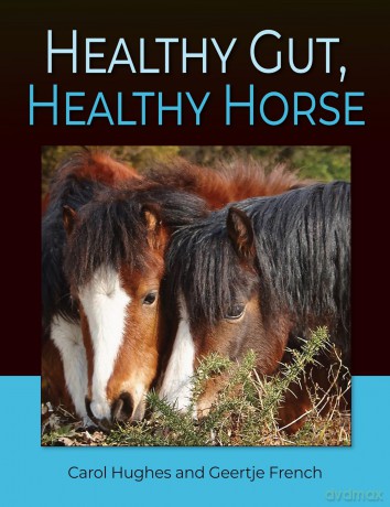 Healthy Gut, Healthy Horse - Carol Hughes [KSIĄŻKA]