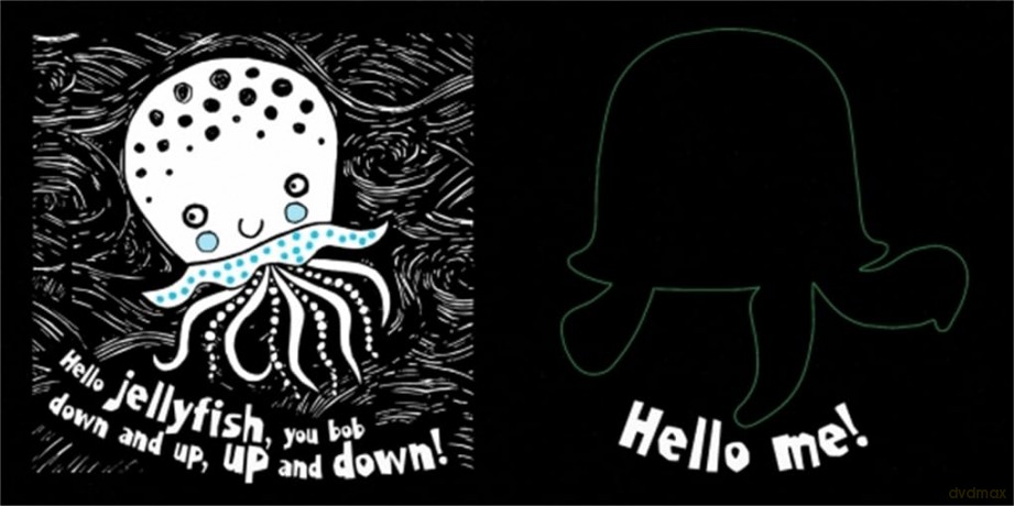Hello Sea - Carolyn Scrace [KSIĄŻKA]