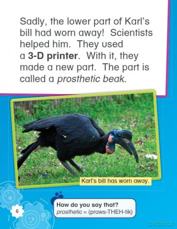 Helping Injured Animals (Smithsonian: Informational Text) - Anne Montgomery [KSIĄŻKA]