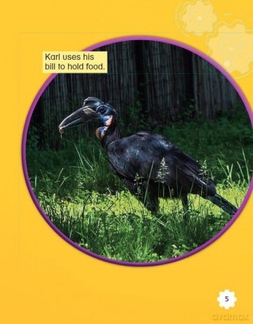 Helping Injured Animals (Smithsonian: Informational Text) - Anne Montgomery [KSIĄŻKA]