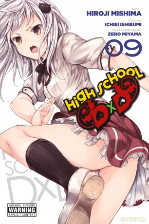 High School DxD, Vol. 9: Volume 9 - Hiroji Mishima [KSIĄŻKA]