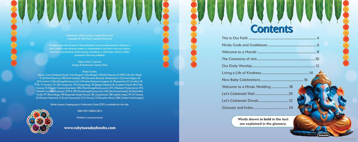 Hinduism, This is Our Faith (My World Your World) - Ruth Owen [KSIĄŻKA]