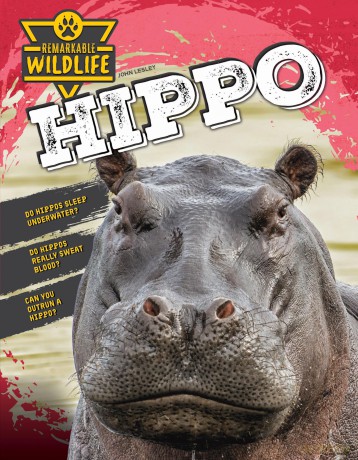 Hippo (Remarkable Wildlife) - John Lesley [KSIĄŻKA]