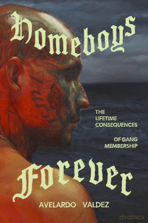 Homeboys Forever: The Lifetime Consequences of Gang Membership - Avelardo Valdez [KSIĄŻKA]