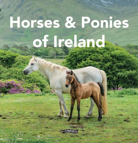 Horses and Ponies of Ireland - Sarah O'connor [KSIĄŻKA]