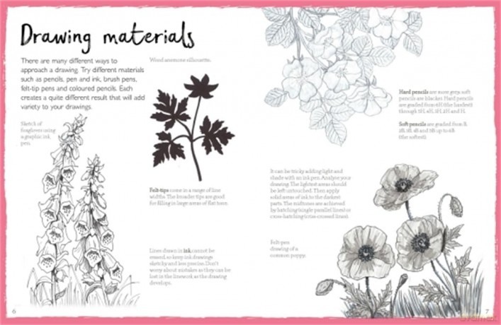 How To Draw Flowers And Plants - Mark Bergin [KSIĄŻKA]