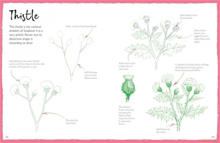 How To Draw Flowers And Plants - Mark Bergin [KSIĄŻKA]