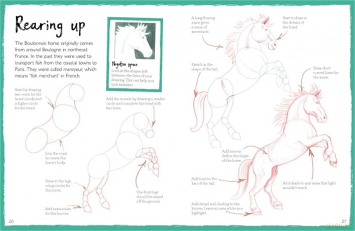 How to Draw Horses - Mark Bergin [KSIĄŻKA]
