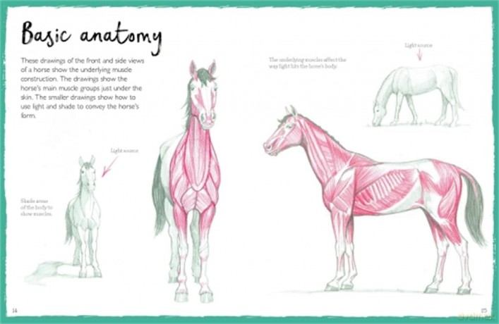 How to Draw Horses - Mark Bergin [KSIĄŻKA]